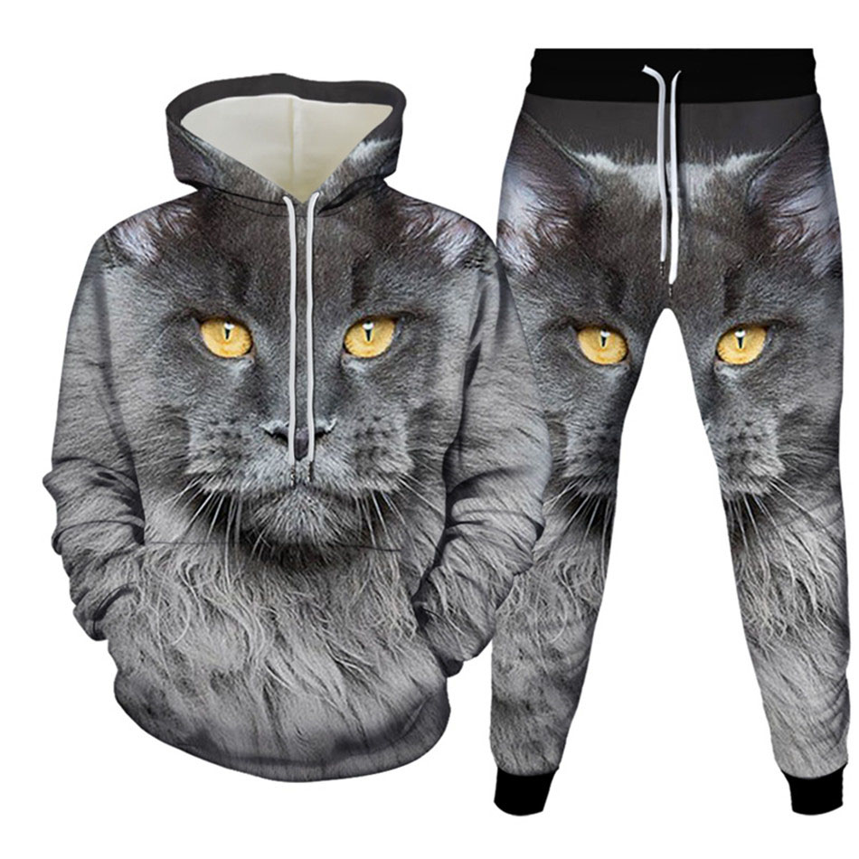 가을 재미있는 동물 고양이 3D 프린트 후드티 세트 남 - Mens Fashion Suits 리뷰 및 가격